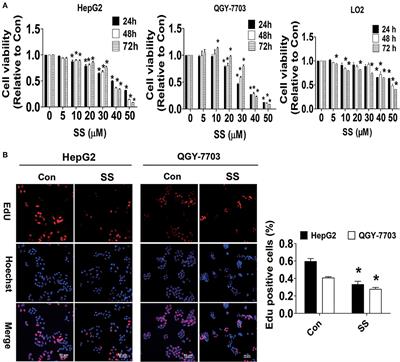 The Reciprocal Interaction Between LncRNA CCAT1 and miR-375-3p Contribute to the Downregulation of IRF5 Gene Expression by Solasonine in HepG2 Human Hepatocellular Carcinoma Cells